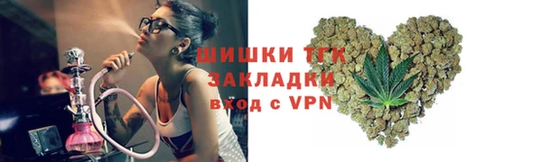 сатива Снежногорск