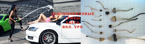 каннабис Алексин